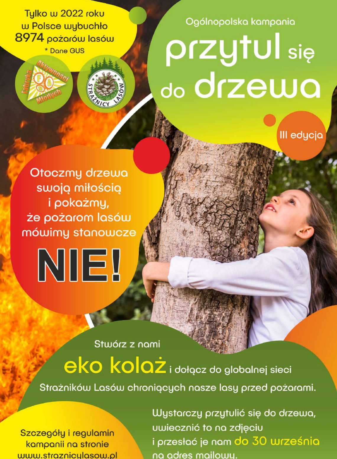 „PRZYTUL SIĘ DO DRZEWA”