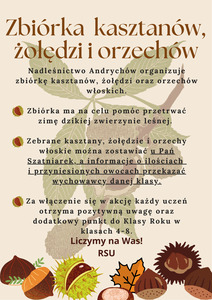 Zbiórka kasztanów